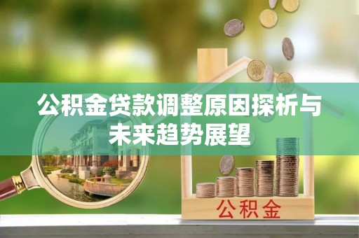 杂多公积金贷款调整原因探析与未来趋势展望