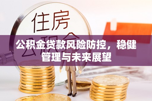 杂多公积金贷款风险防控，稳健管理与未来展望