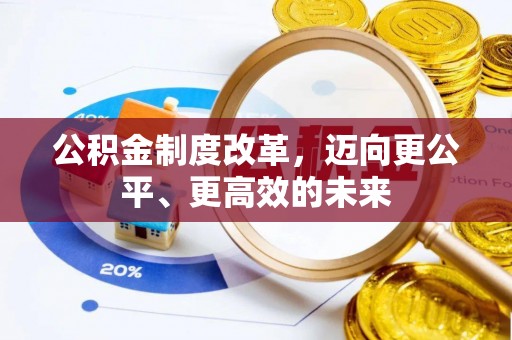 杂多公积金制度改革，迈向更公平、更高效的未来