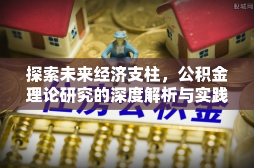 杂多探索未来经济支柱，公积金理论研究的深度解析与实践意义
