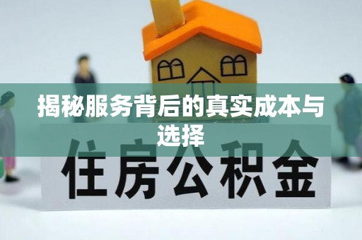 杂多揭秘服务背后的真实成本与选择