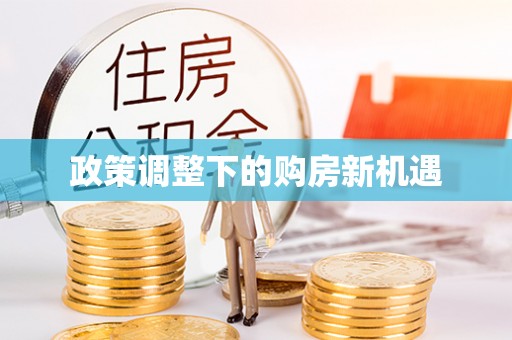 杂多政策调整下的购房新机遇