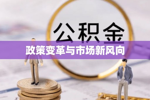 杂多政策变革与市场新风向