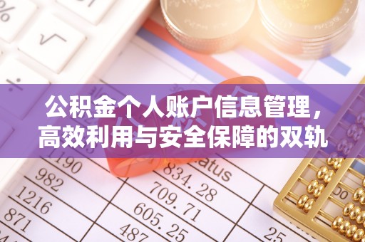 杂多公积金个人账户信息管理，高效利用与安全保障的双轨并行