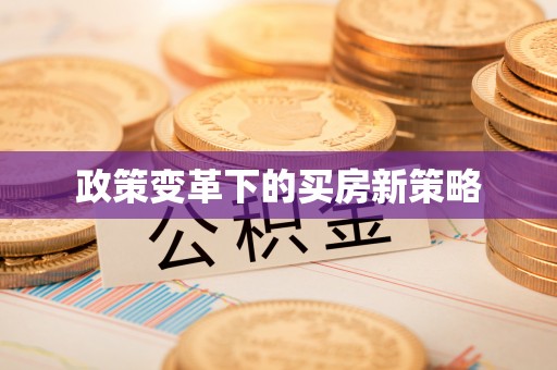 杂多政策变革下的买房新策略
