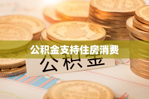 杂多公积金支持住房消费