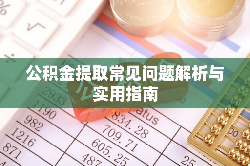 杂多公积金提取常见问题解析与实用指南