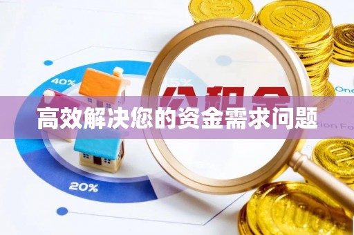 杂多高效解决您的资金需求问题
