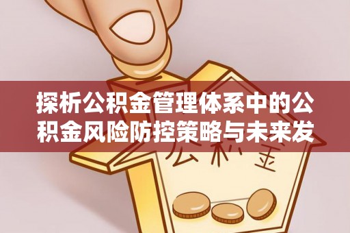 杂多探析公积金管理体系中的公积金风险防控策略与未来发展