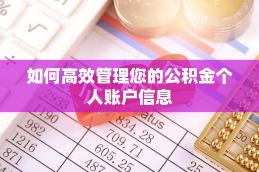 杂多如何高效管理您的公积金个人账户信息