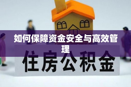 杂多如何保障资金安全与高效管理