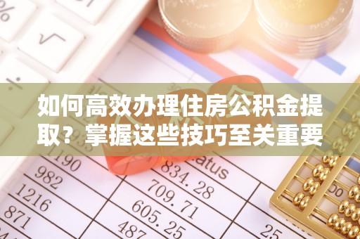 杂多如何高效办理住房公积金提取？掌握这些技巧至关重要