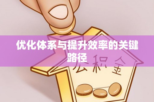 杂多优化体系与提升效率的关键路径