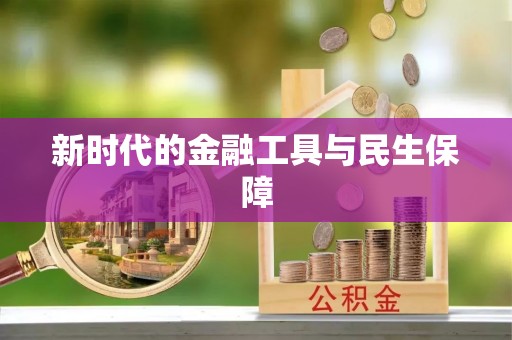 杂多新时代的金融工具与民生保障