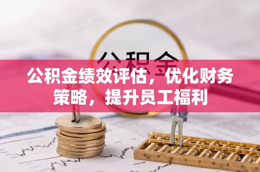 杂多公积金绩效评估，优化财务策略，提升员工福利