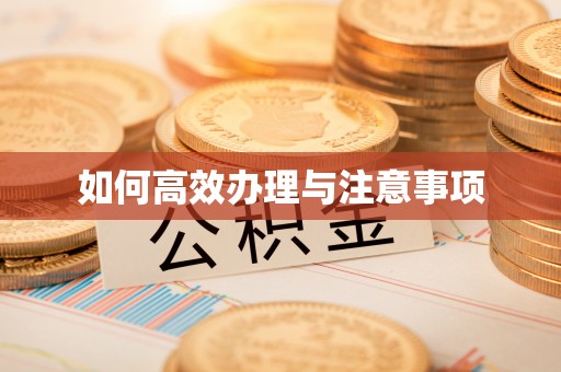 杂多如何高效办理与注意事项