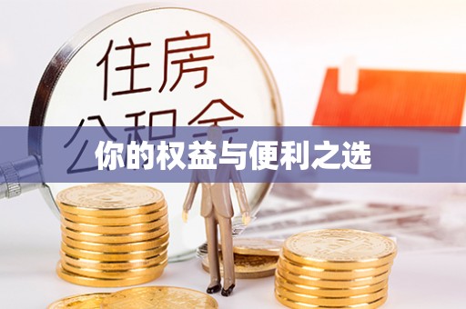 杂多你的权益与便利之选