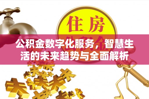 杂多公积金数字化服务，智慧生活的未来趋势与全面解析