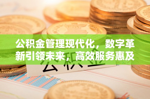 杂多公积金管理现代化，数字革新引领未来，高效服务惠及民生