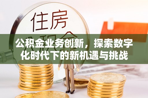 杂多公积金业务创新，探索数字化时代下的新机遇与挑战