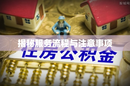 杂多揭秘服务流程与注意事项
