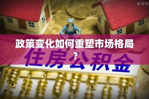 杂多政策变化如何重塑市场格局？