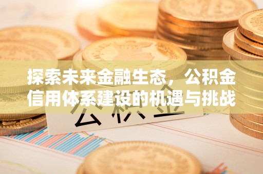 杂多探索未来金融生态，公积金信用体系建设的机遇与挑战