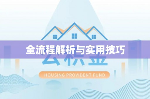 杂多全流程解析与实用技巧