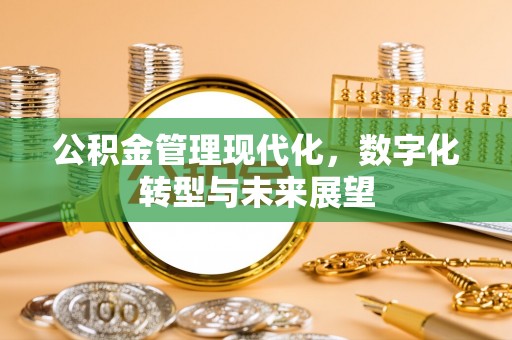 杂多公积金管理现代化，数字化转型与未来展望
