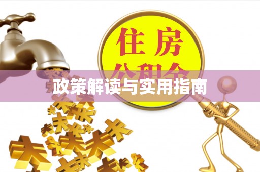 杂多政策解读与实用指南