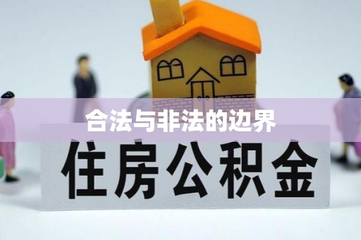 杂多合法与非法的边界