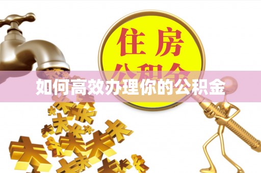 杂多如何高效办理你的公积金