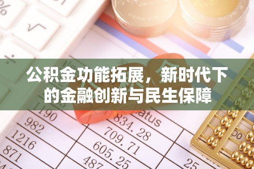 杂多公积金功能拓展，新时代下的金融创新与民生保障