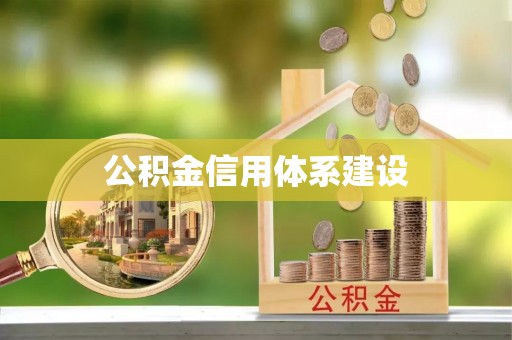 杂多公积金信用体系建设