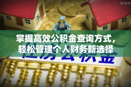 杂多掌握高效公积金查询方式，轻松管理个人财务新选择