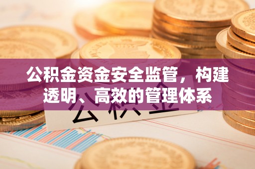 杂多公积金资金安全监管，构建透明、高效的管理体系