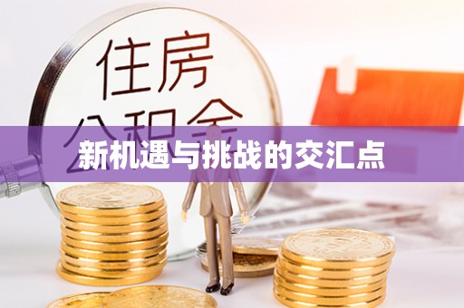 杂多新机遇与挑战的交汇点