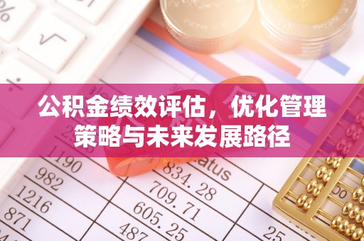 杂多公积金绩效评估，优化管理策略与未来发展路径