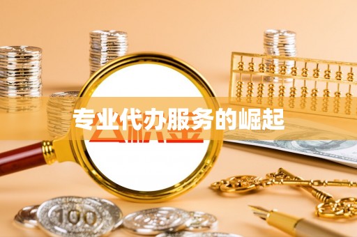 杂多专业代办服务的崛起