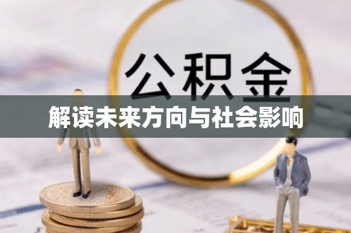 杂多解读未来方向与社会影响