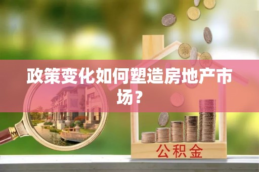 杂多政策变化如何塑造房地产市场？