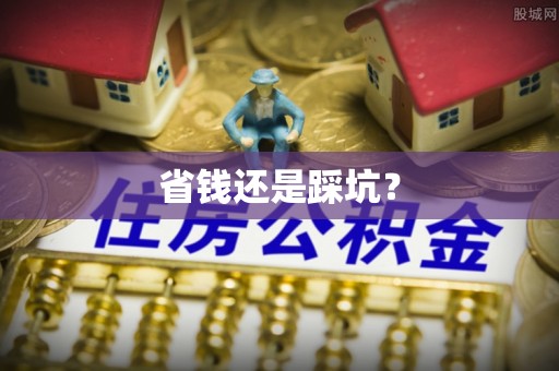 杂多省钱还是踩坑？