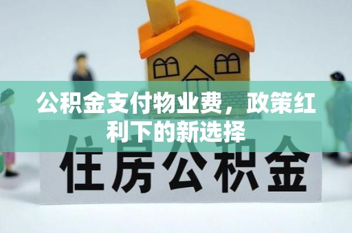 杂多公积金支付物业费，政策红利下的新选择