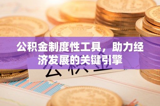 杂多公积金制度性工具，助力经济发展的关键引擎
