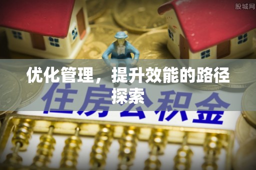 杂多优化管理，提升效能的路径探索
