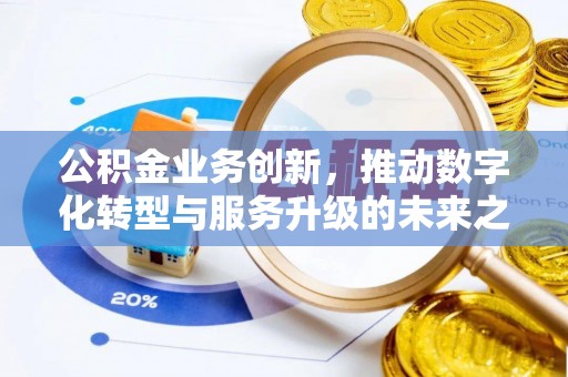杂多公积金业务创新，推动数字化转型与服务升级的未来之路