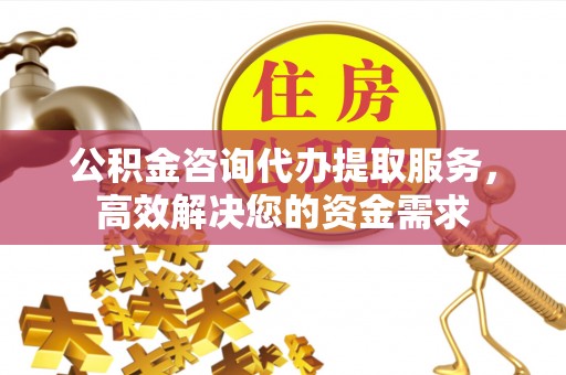 杂多公积金咨询代办提取服务，高效解决您的资金需求
