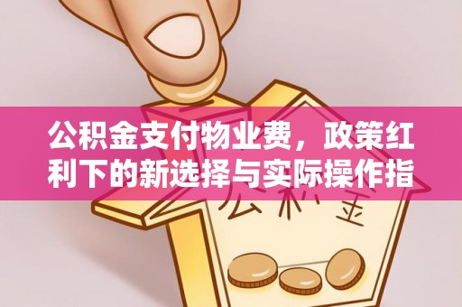 杂多公积金支付物业费，政策红利下的新选择与实际操作指南