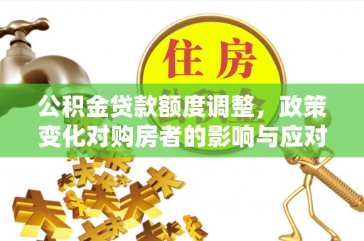 杂多公积金贷款额度调整，政策变化对购房者的影响与应对策略