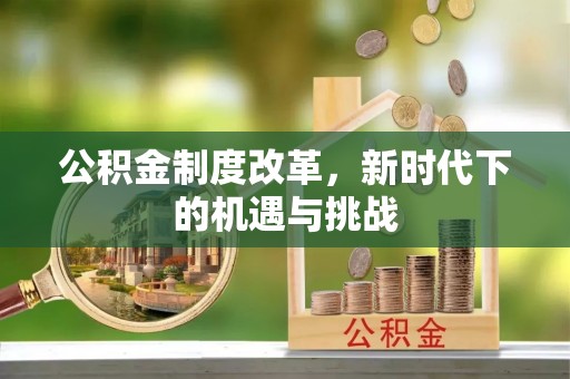 杂多公积金制度改革，新时代下的机遇与挑战